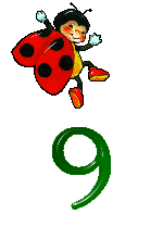 numero-9-mariquita-13268